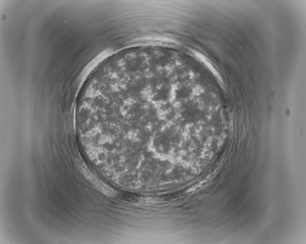 X0000085811275200704091557