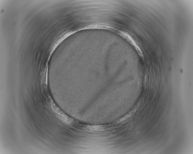 X0000085811276200704091557