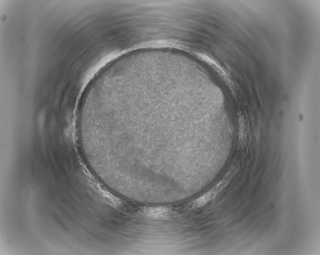 X0000085811278200704091557