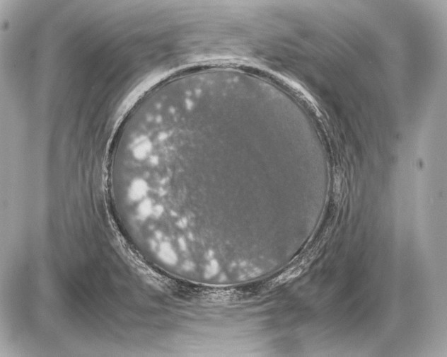 X0000085811279200704091557