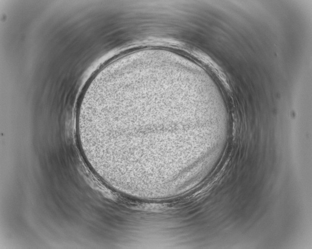 X0000085811280200704091557