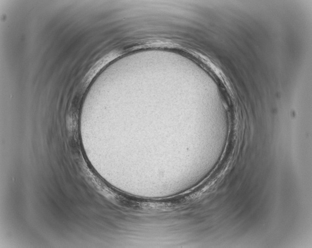 X0000085811281200704091557