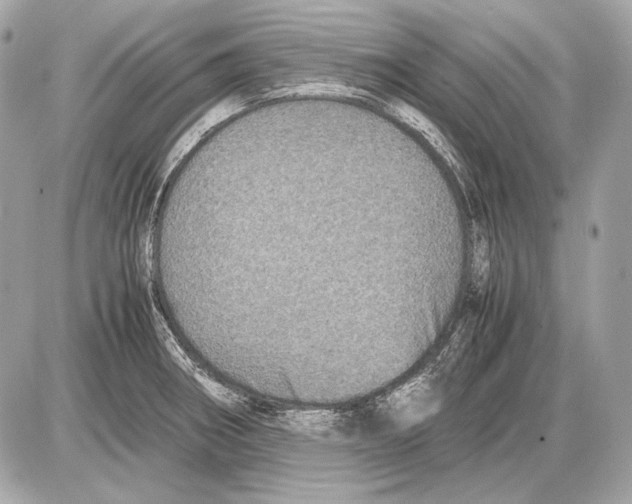 X0000085811282200704091557