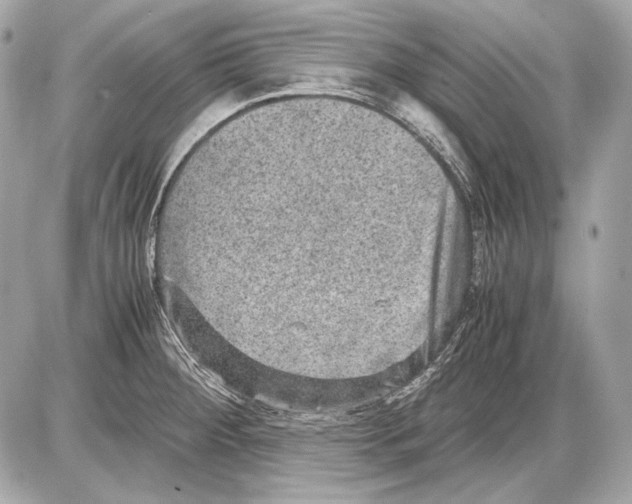 X0000085811284200704091557