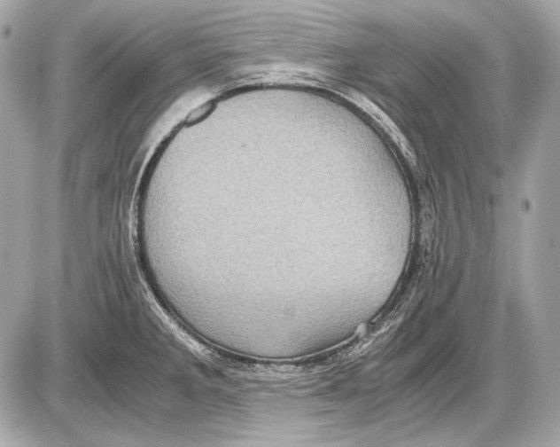 X0000085811285200704091557