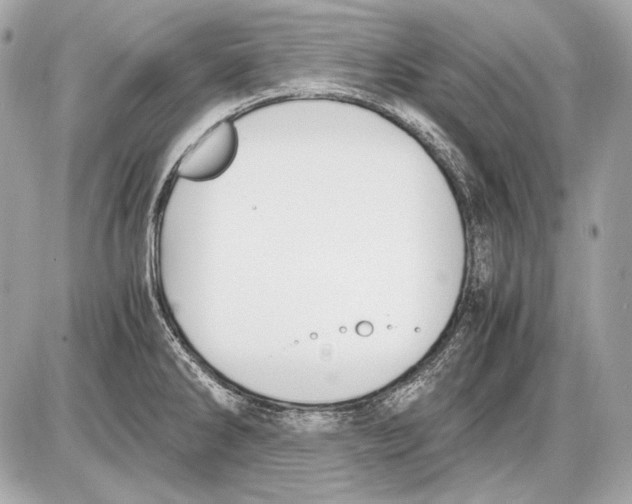 X0000085811286200704091557