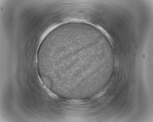 X0000085811287200704091557