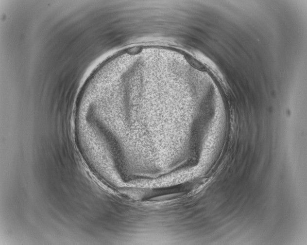 X0000085811288200704091557