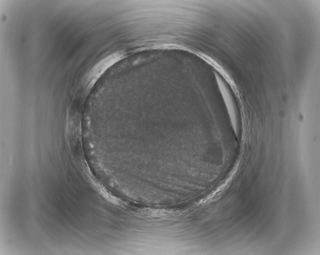 X0000085811289200704091557