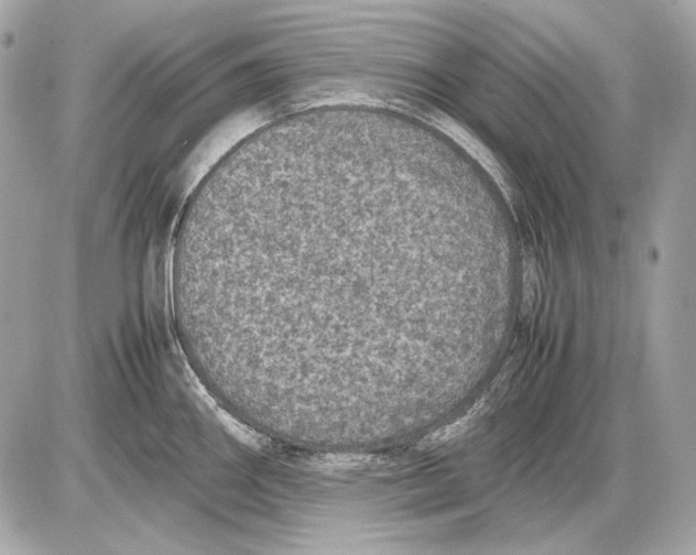 X0000085811290200704091557