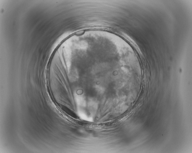 X0000085811291200704091557