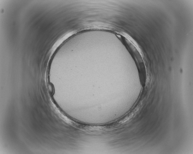 X0000085811293200704091557