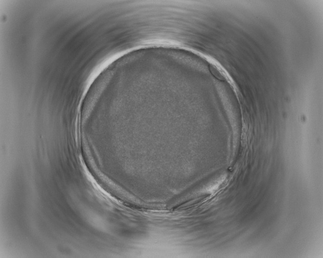 X0000085811295200704091557