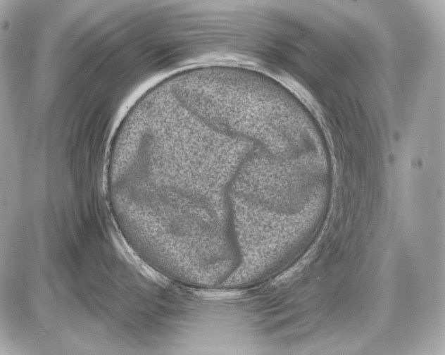 X0000085811296200704091557