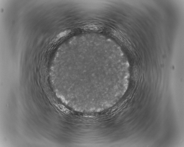 X0000085811297200704091556