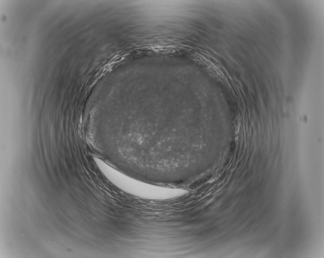 X0000085811298200704091556