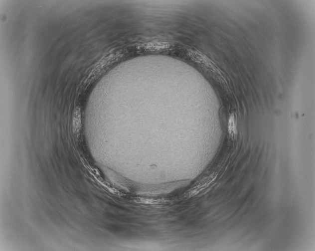 X0000085811299200704091556