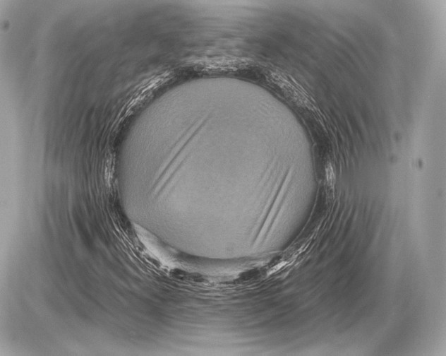 X0000085811300200704091556