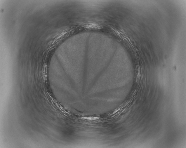 X0000085811301200704091556