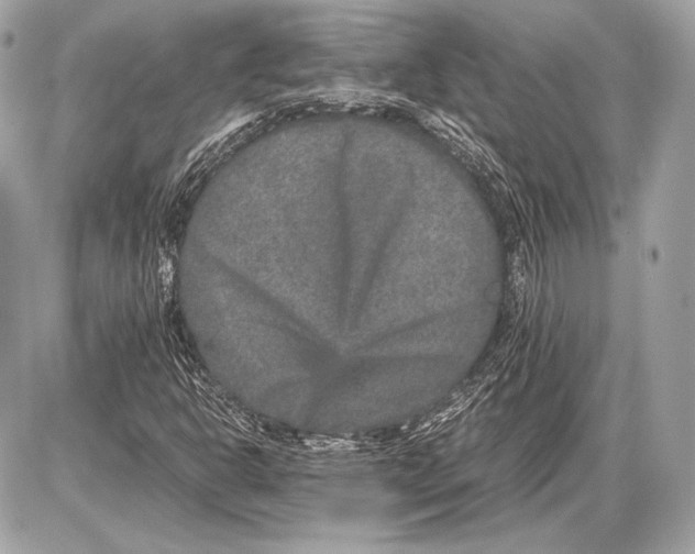 X0000085811302200704091556