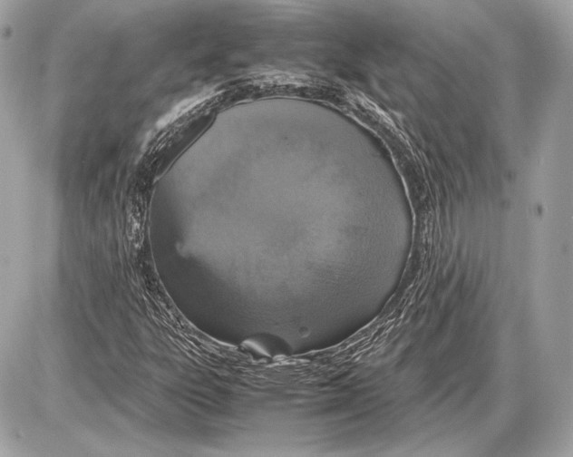 X0000085811303200704091556