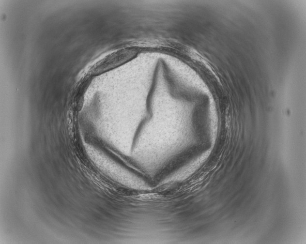 X0000085811304200704091556