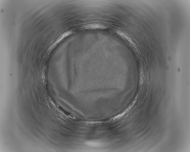 X0000085811305200704091556