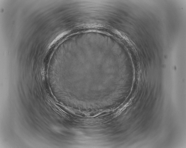 X0000085811306200704091556