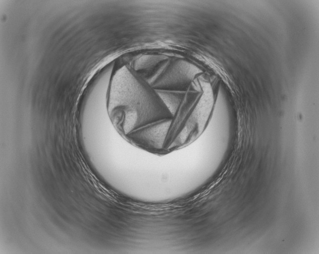 X0000085811308200704091556