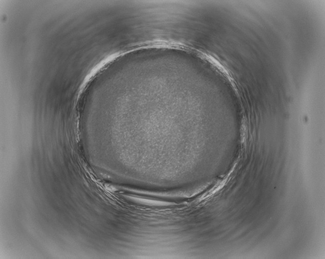 X0000085811310200704091556