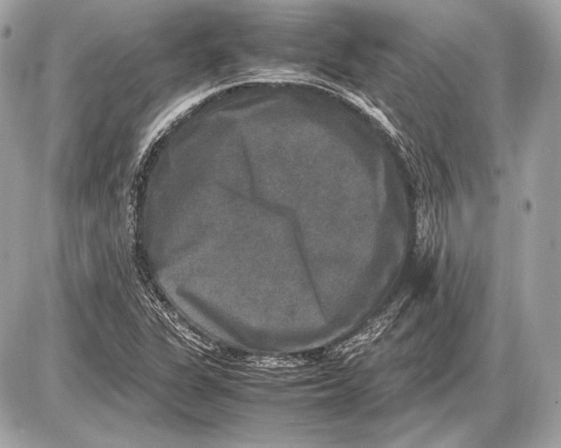 X0000085811311200704091556