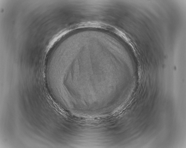 X0000085811312200704091556