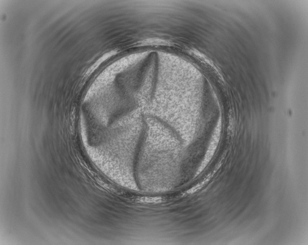 X0000085811313200704091556