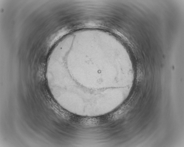 X0000085811314200704091556