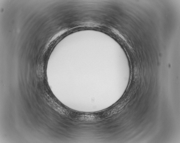 X0000085811315200704091556