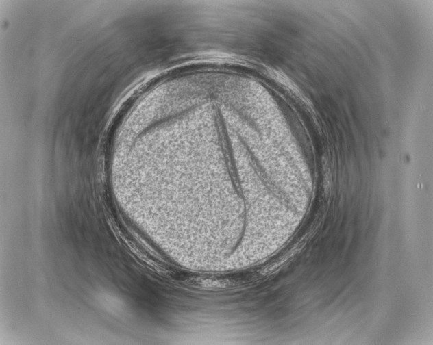 X0000085811318200704091556