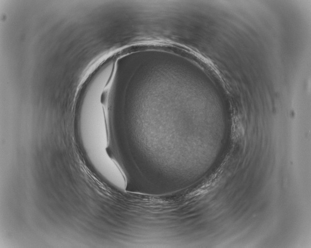 X0000085811319200704091556