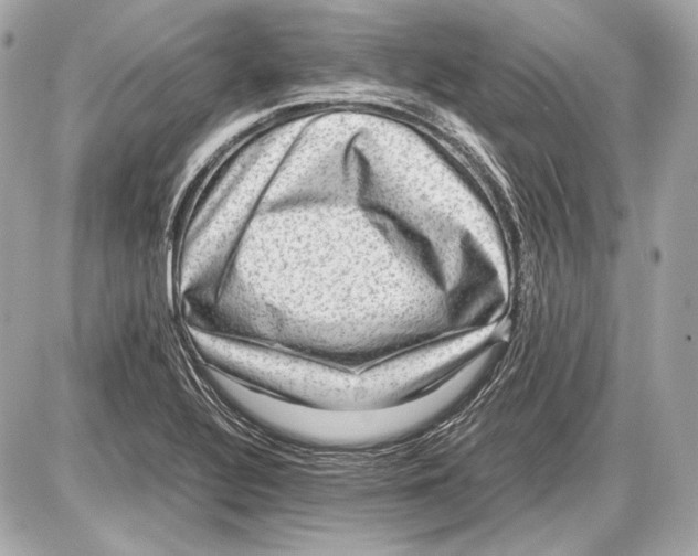 X0000085811320200704091556