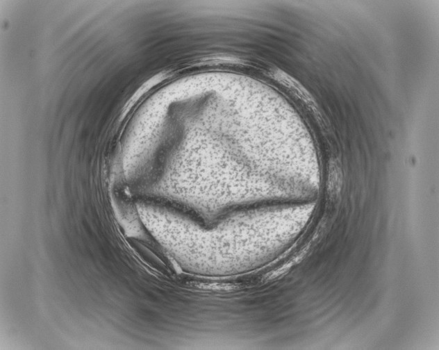 X0000085811321200704091556