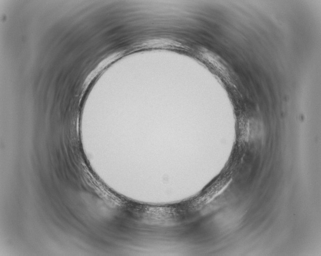 X0000085811322200704091556