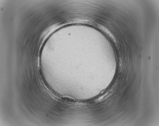 X0000085811324200704091556