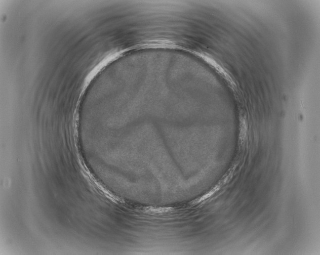 X0000085811325200704091556