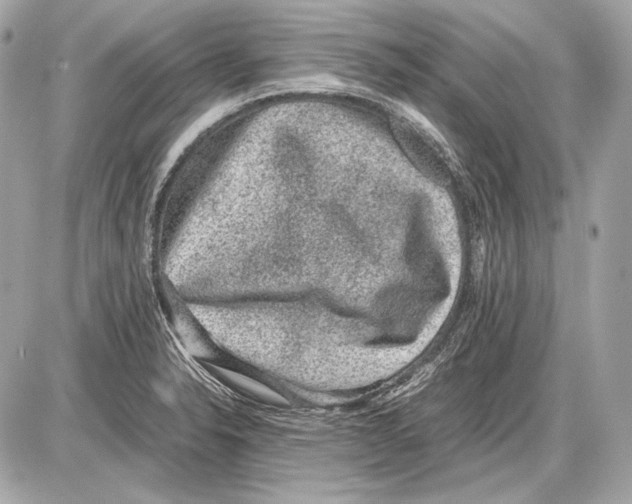 X0000085811326200704091556