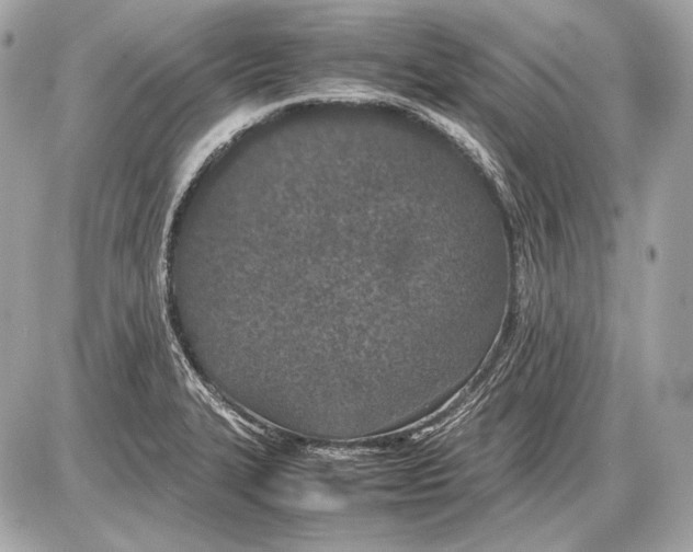 X0000085811327200704091556