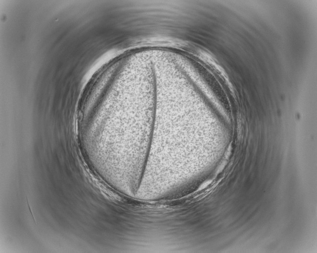 X0000085811328200704091556