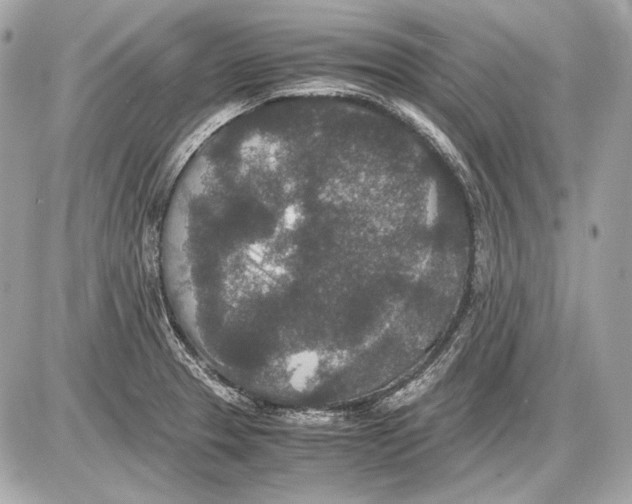 X0000085811329200704091556