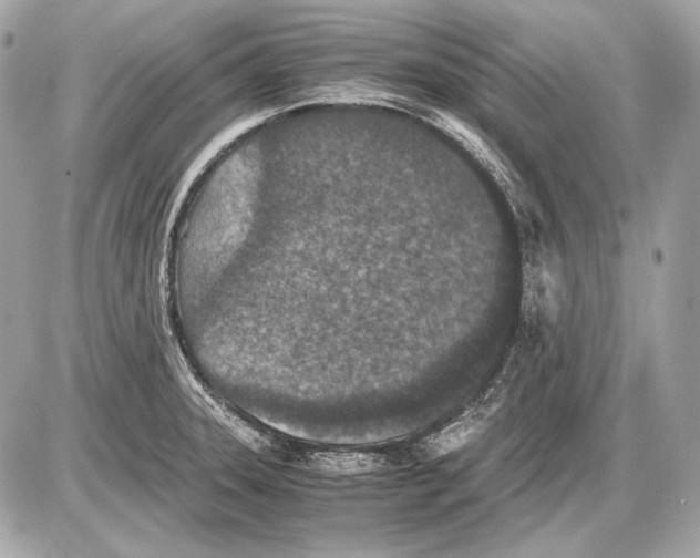 X0000085811331200704091556