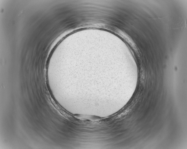 X0000085811332200704091556