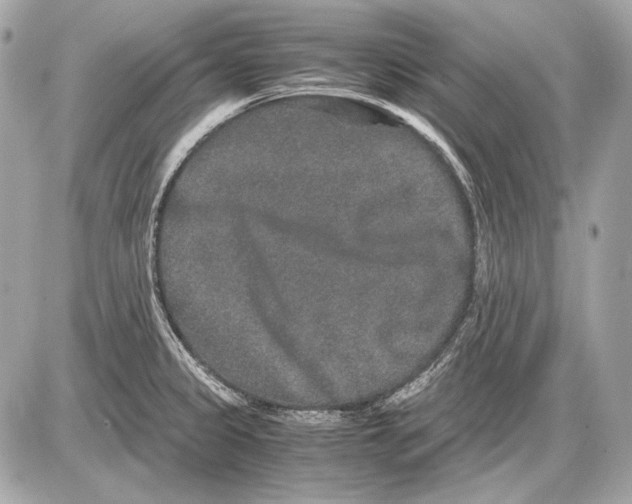 X0000085811333200704091556