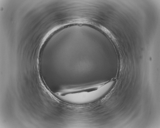 X0000085811334200704091556